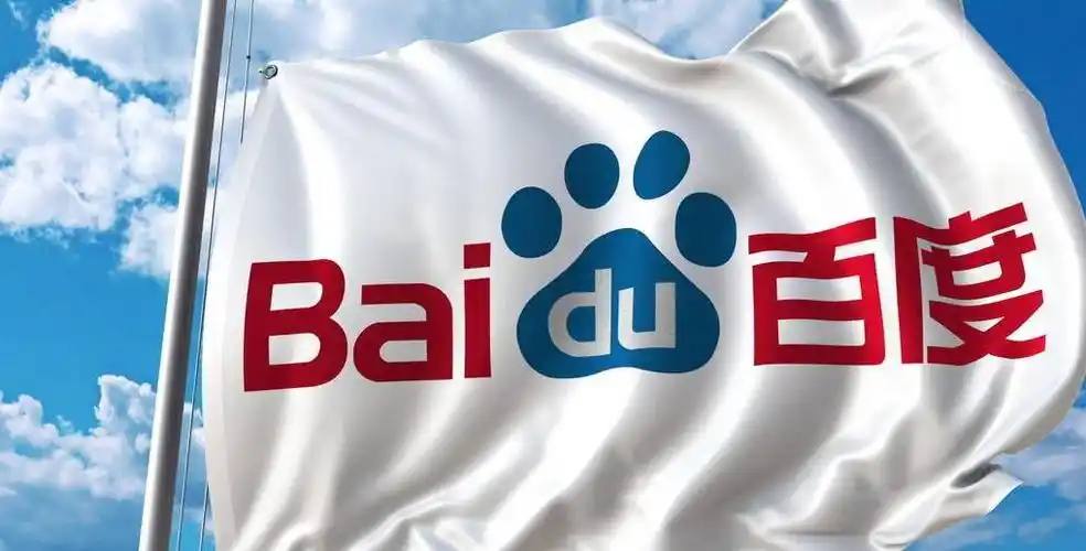 荷兰政府对企业内部事务不当干预